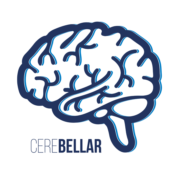 Cerebellar Investments